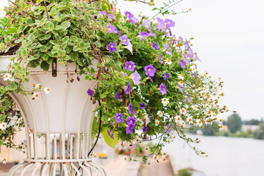 Similar image 2190162