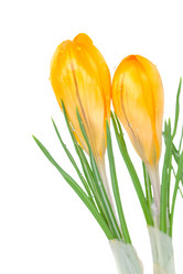 Similar image 2190179