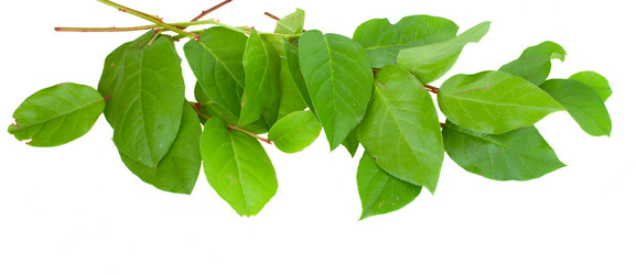 Similar image 2190186