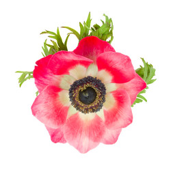 Similar image 2190187