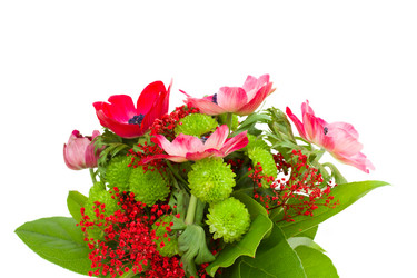 Similar image 2190195