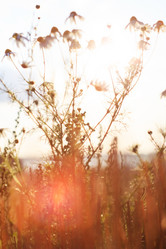 Similar image 2190201