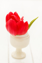 Similar image 2190232