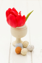 Similar image 2190233