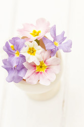 Similar image 2190236