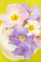 Similar image 2190237