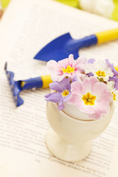 Similar image 2190239