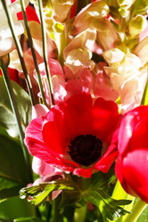 Similar image 2190240