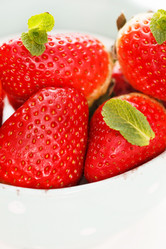 Similar image 2190255