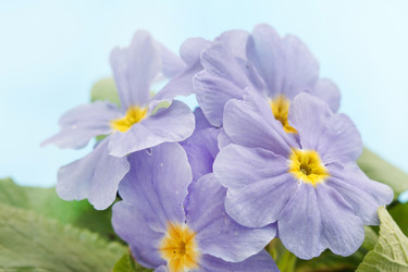 Similar image 2190280