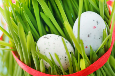 Similar image 2190281