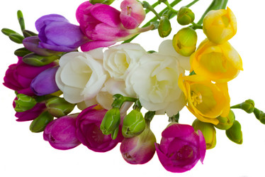 Similar image 2190354