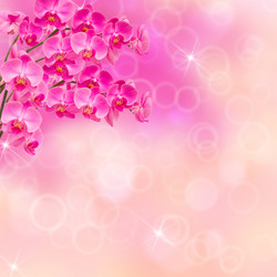 Similar image 2190386