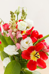 Similar image 2190402