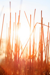 Similar image 2190421