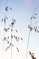 Similar image 2190422