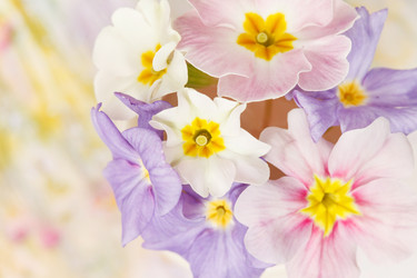 Similar image 2190443