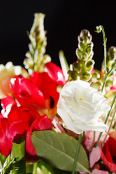 Similar image 2190445