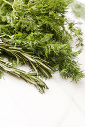 Similar image 2190451