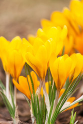 Similar image 2190490