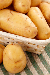 Similar image 2190501