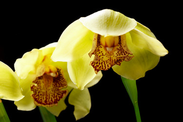 Similar image 2190503