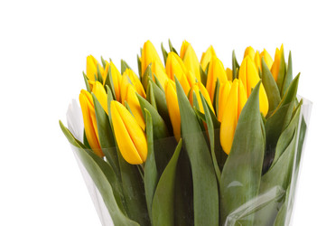 Similar image 2190510