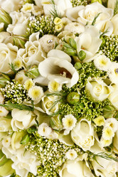 Similar image 2190512