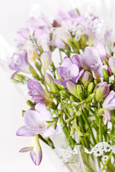 Similar image 2190518