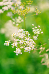 Similar image 2190529