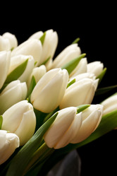 Similar image 2190534