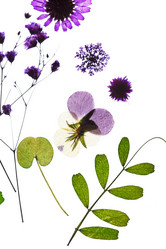 Similar image 2190571