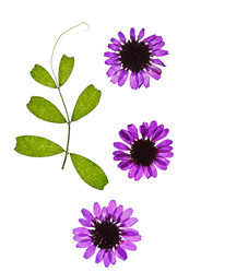 Similar image 2190572