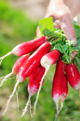 Similar image 2190574