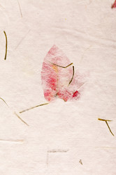 Similar image 2190575