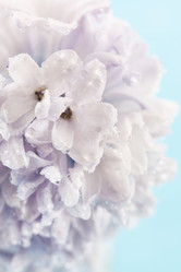 Similar image 2190578