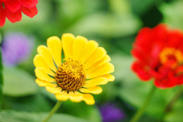 Similar image 2190589