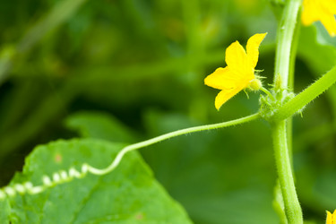 Similar image 2190595