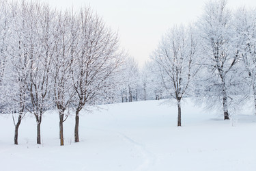 Similar image 2190611