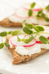 Similar image 2190629