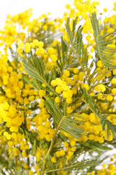 Similar image 2190673