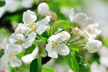 Similar image 2190677