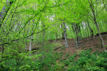 Similar image 2190683