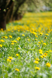 Similar image 2190688