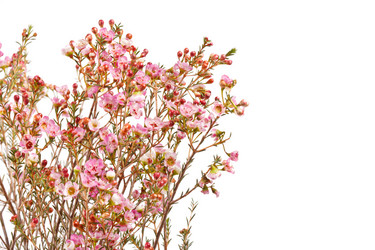 Similar image 2190699