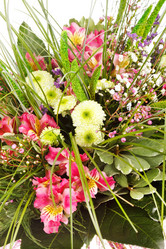 Similar image 2190714