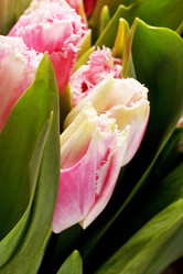 Similar image 2190767