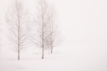 Similar image 2190769