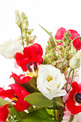 Similar image 2190774