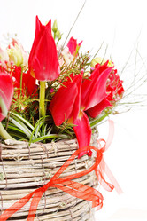 Similar image 2190791